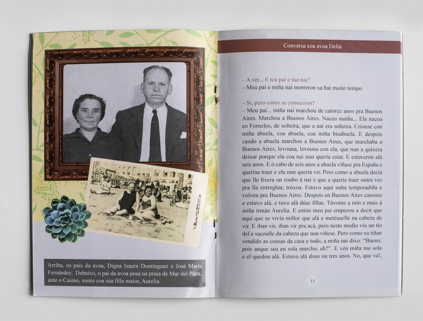 interior de Conversa coa avoa Delia, creado por Alicia Rocha Novoa