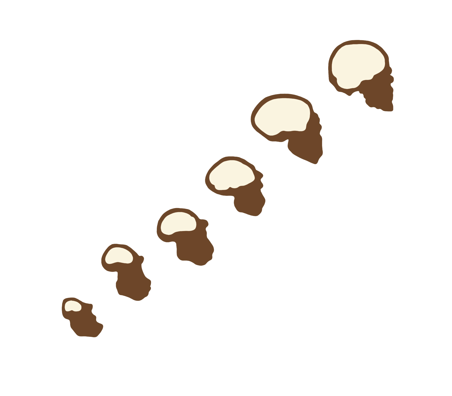 ilustración para Unha mente que voa creada por Alicia Rocha Novoa