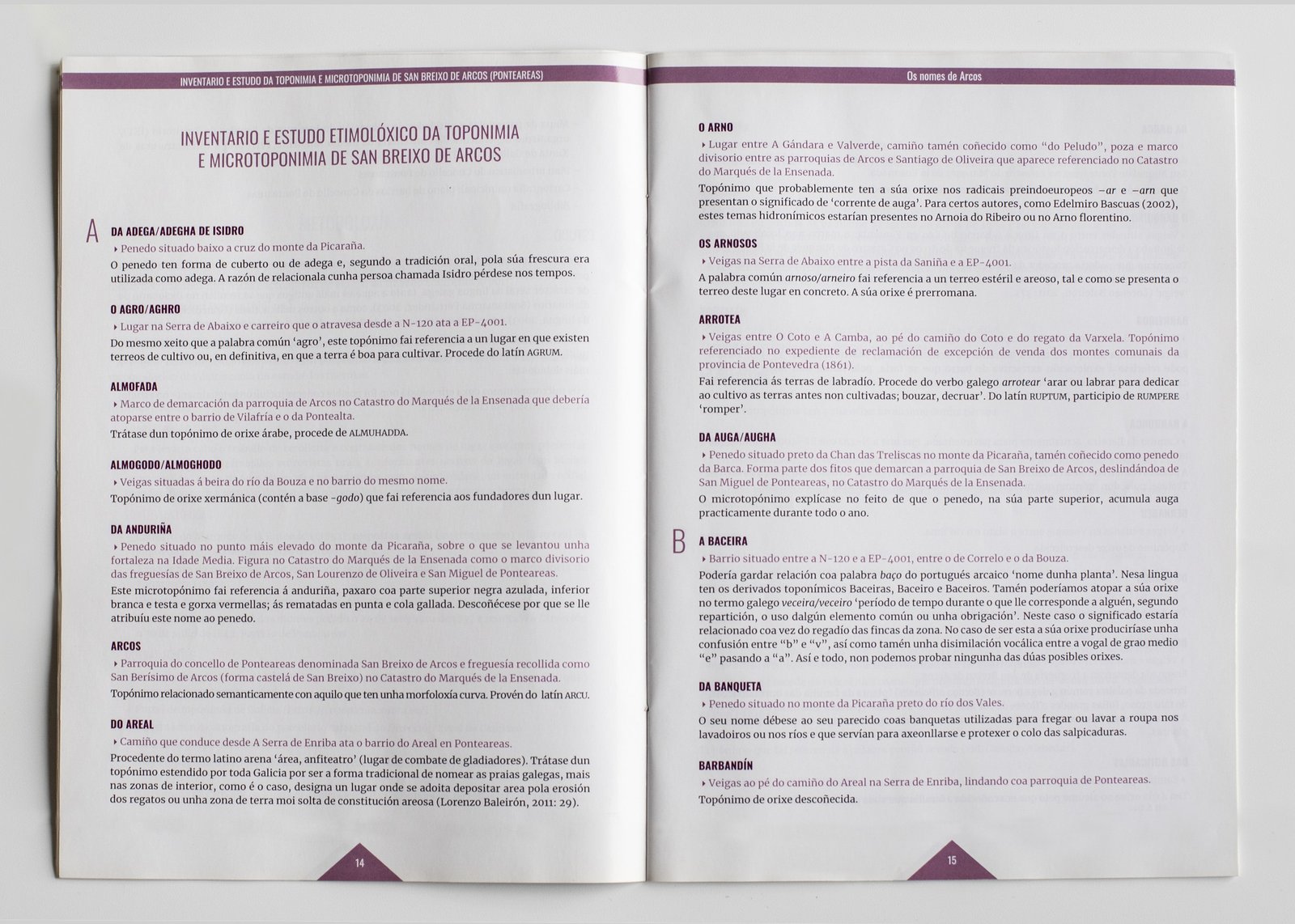 diseño de interiores para os nomes de Arcos, creado por Alicia Rocha Novoa